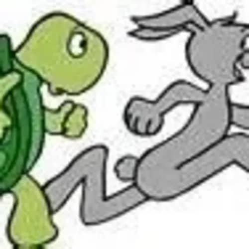 Triangle Turtles and Hares Running Club club photo