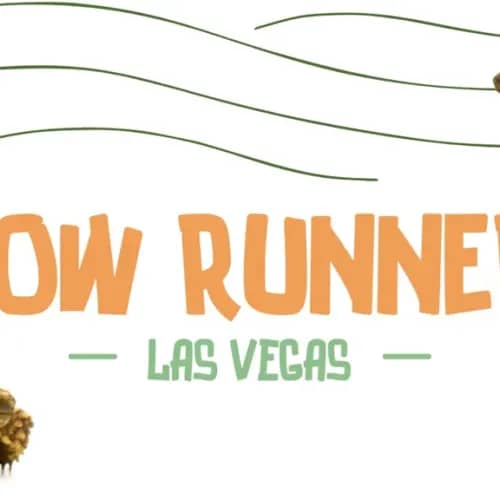 Slow Runners - Las Vegas club photo
