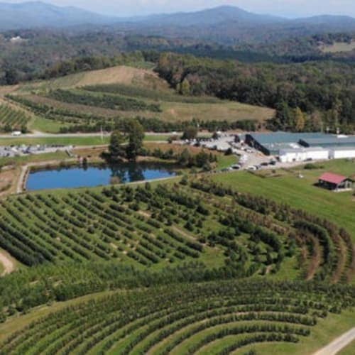 Mercier Orchards Winter Wine Run 5k