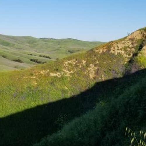 Chino Hills Trail Run Series Fall