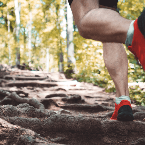 Caesar Creek Trail Race