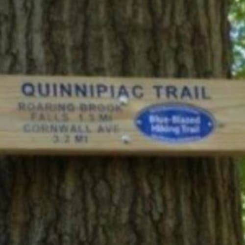 The Blue 2 Blue Challenge