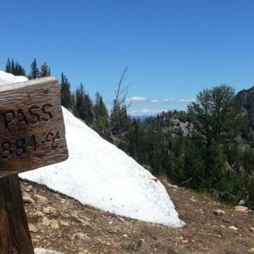 CWES - Purple Rainbow