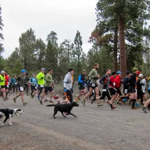 Peterson Ridge Rumble