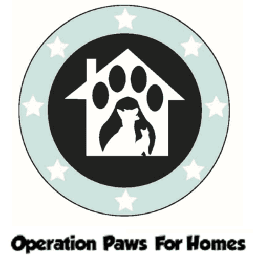 11th Annual Fast & Furriest 5k/1m - April 19, 2026