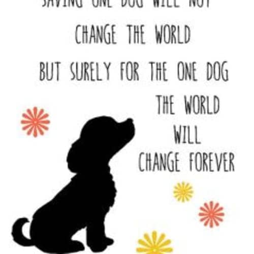 Trot For Spot 5k And 3k