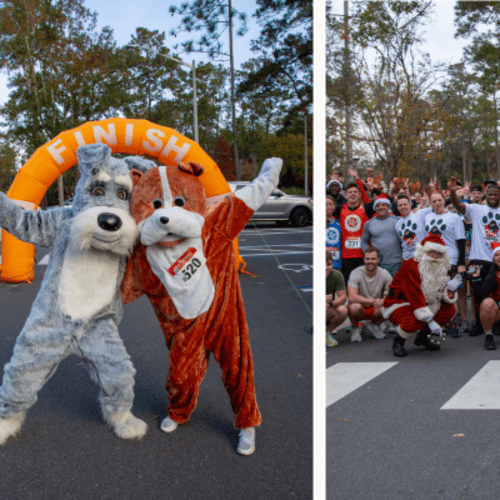 Santa Paws 5k-9 And 10k-9 Run/walk - Gainesville