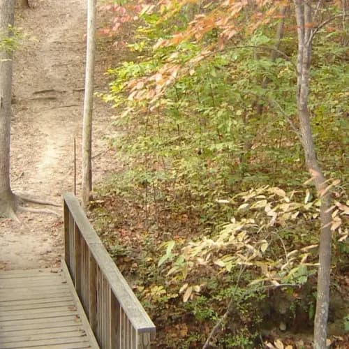 Cary Walking Club