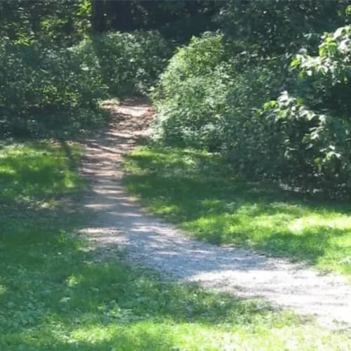 Trail Running Louisville