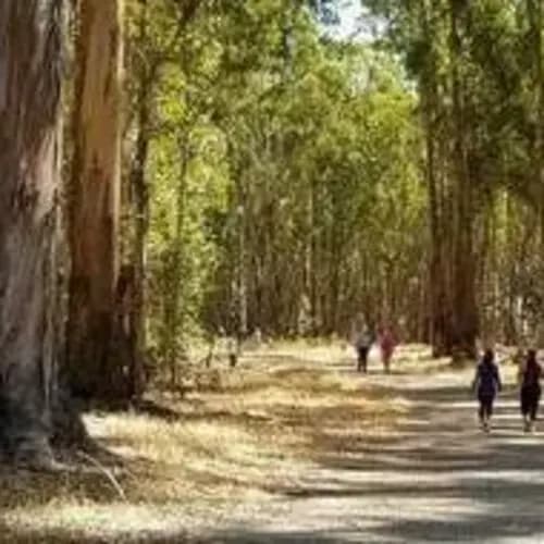 EAST BAY WALKERS