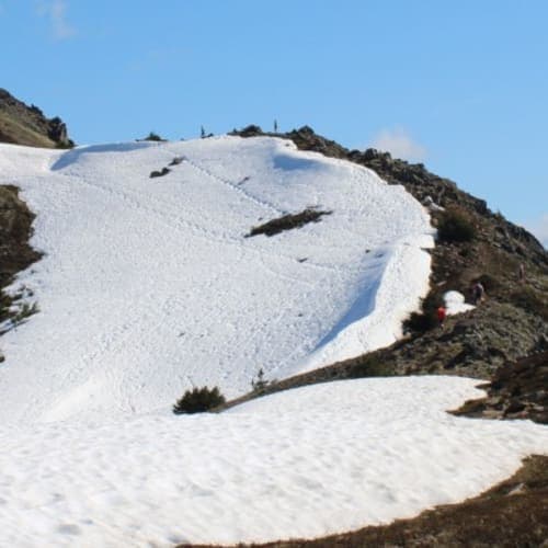 Bird Ridge Hill Climb