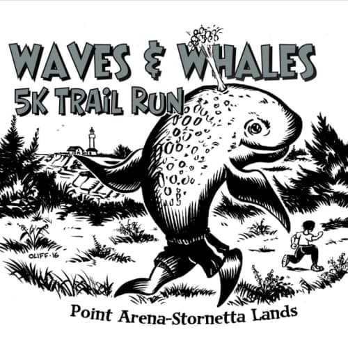 Waves & Whales 5k Trail Run