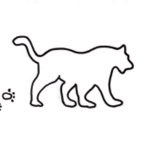 Wildcat Prowl