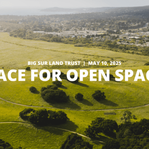 Race For Open Space