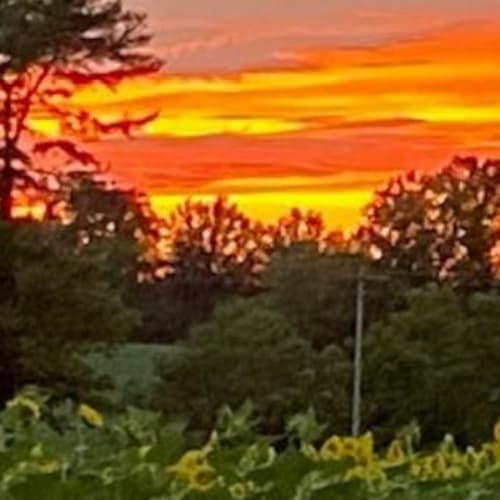 Quail Ridge Farm Backyard Ultra