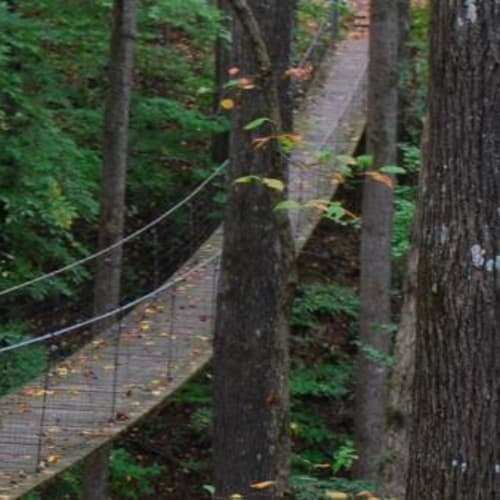 Swinging Bridge Trail Run