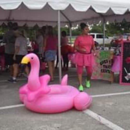 Adventhealth Sebring Foundation Pink On Parade 5k & 1 Mile Run/walk Presented By Chen Dental