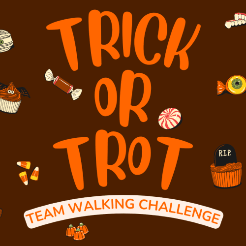 Trick & Trot Challenge