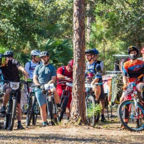 Trail Fest At Graham Swamp