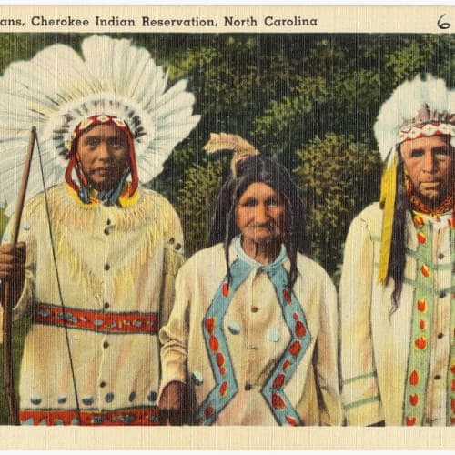 The Cherokee