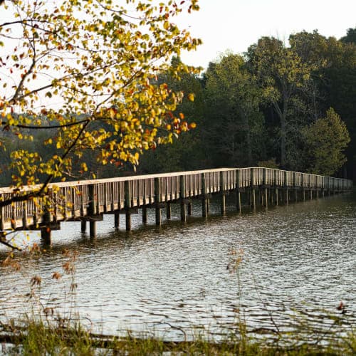 Long Hunter Trail Runs