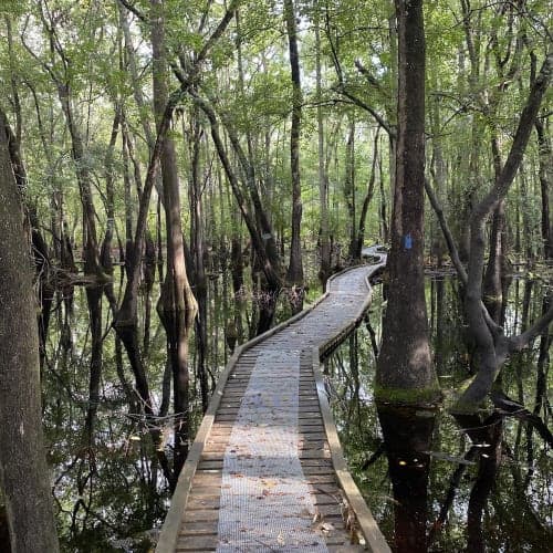 Forgotten Florida