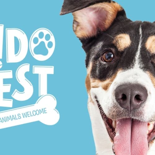 Fido Fest 5k And Fun Run