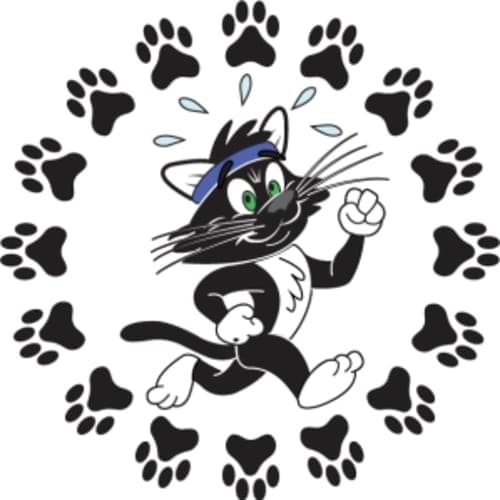 Tina's Cat Run