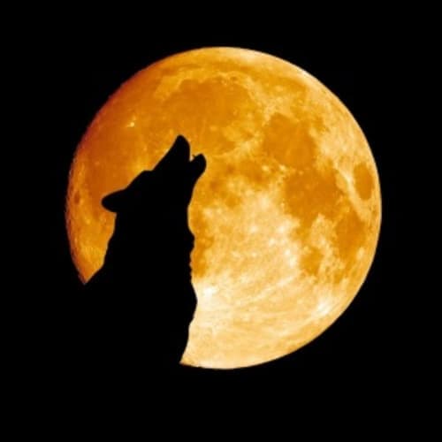 Kennekuk Road Runners - Howl At The Moon 8/4 Hour Ultra