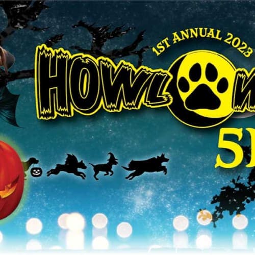 Bolingbrook Howl-o-ween 5k