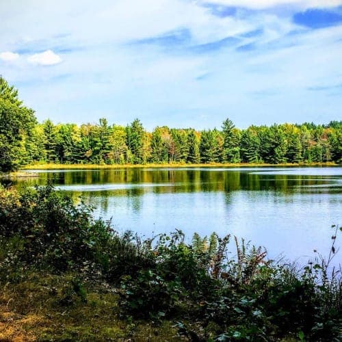 Black River Trail Classic