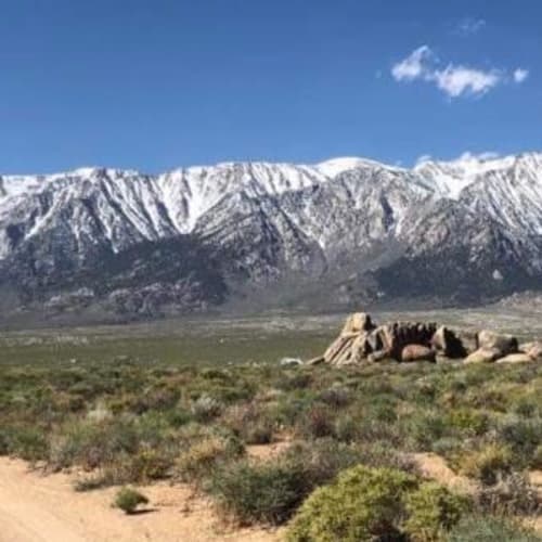 Wild Wild West Marathon & Ultra