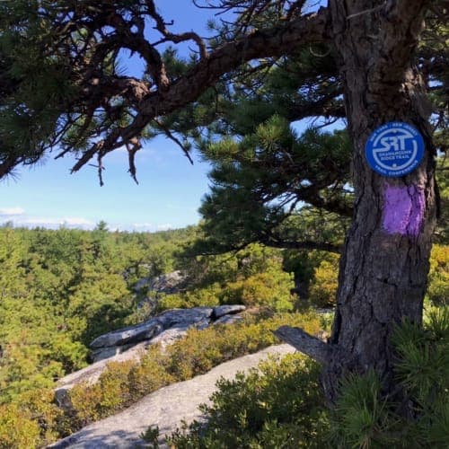 Shawangunk Ridge Trail Run