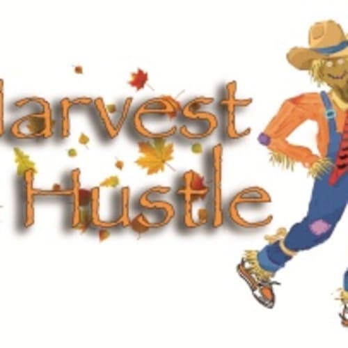Harvest Hustle