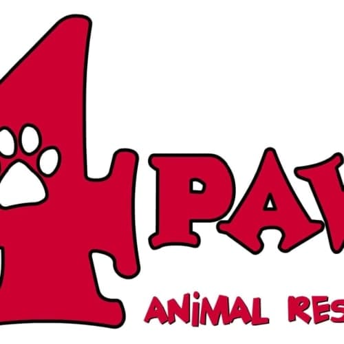 4th Annual Pints And Paws 5k And 1 Mile Run Walk And Pup Strut