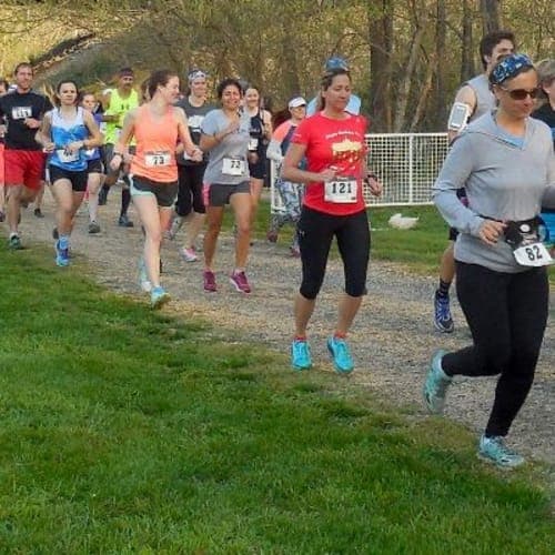 2025 Chessie Trail Marathon, Half Marathon, 10k, 5k, & 26.2 Relay