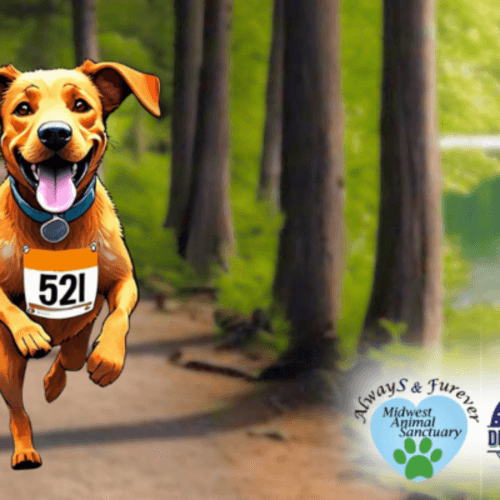 De Soto Days 5k-9 And Family Fun Run