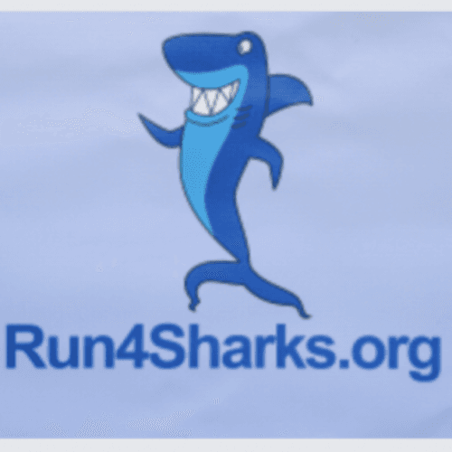 Run4sharks & Ocean Health Fair 5k/1mile Fun Run Online Registration Now Closed!! Race Day Registration Available 7am-8:30am In Lieu Of Shirt A Shark Key Chain Will Be Offered!