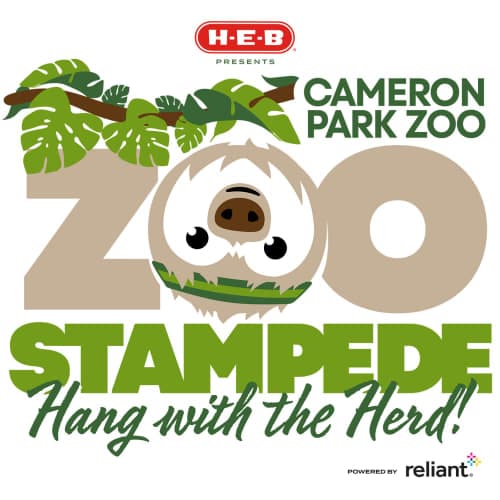 H-e-b Cameron Park Zoo Stampede