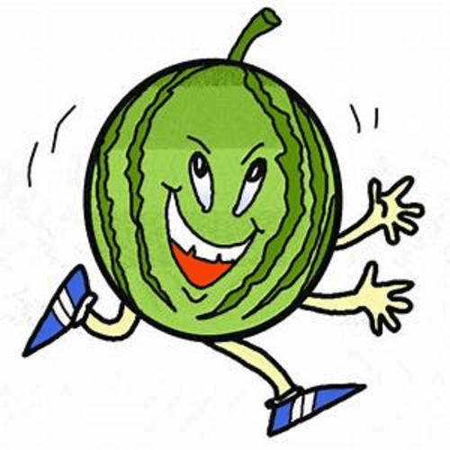 The Dam Melon Run