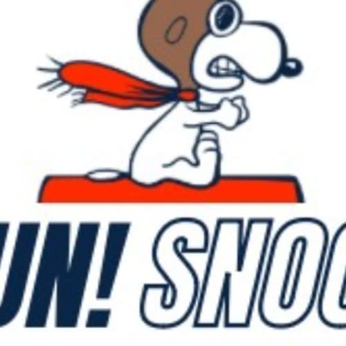 Run! Run! Snoopy 5k & Fun Run