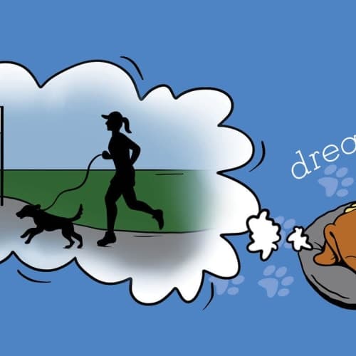 Doggie Dash & Dawdle 2026