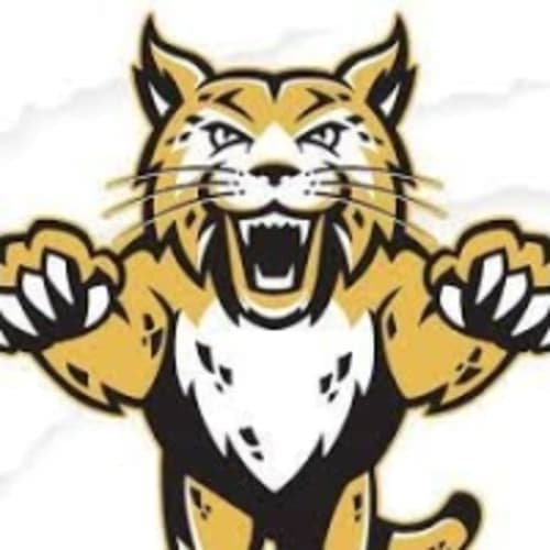 Run With The Bobcats 5k Or 1 Mile