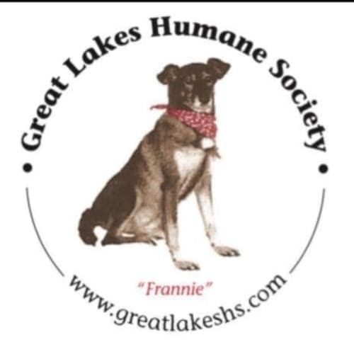Last Dog Days Of Summer Fun Run Benefiting The Great Lakes Humane Society