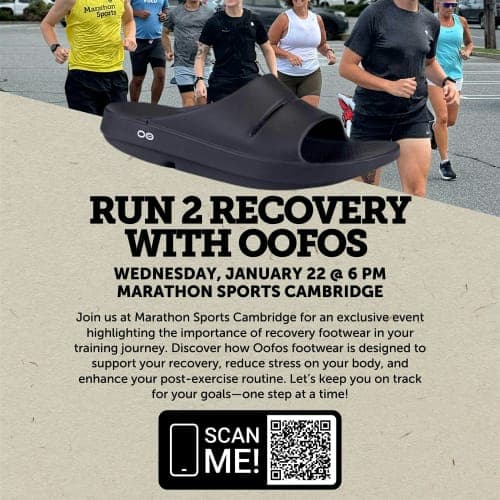 Run 2 Recovery