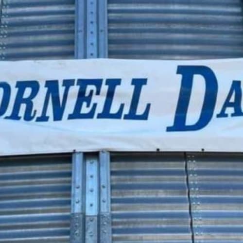 Cornell Days 5k And 1 Mile Fun Run/walk