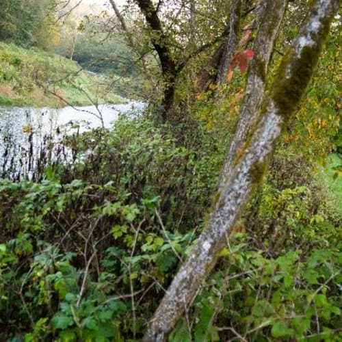 Iowa Trail Run Series: Yellow River State Forest