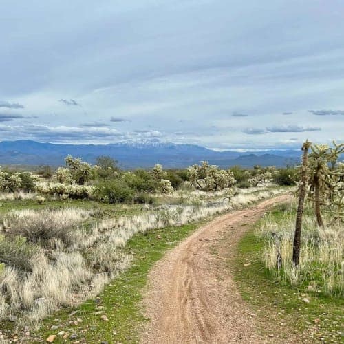 Pemberton Trail