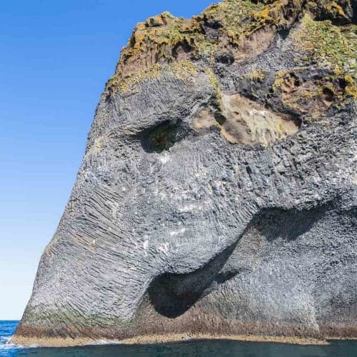 Elephant Mountain