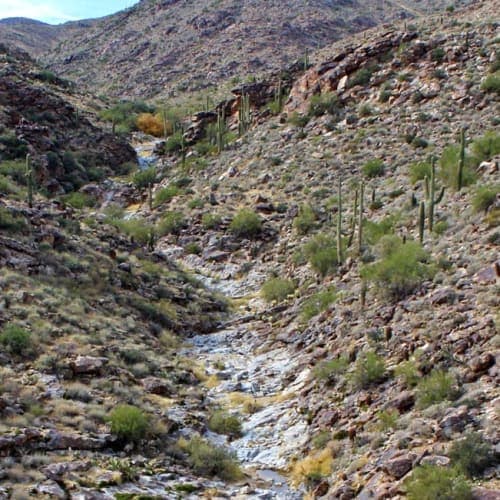 Mesquite Canyon